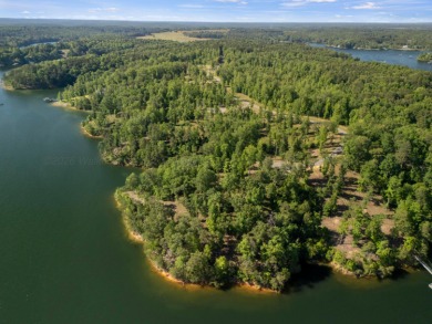 Located on the main channel near the dam at the mouth of Ryan - photo 15