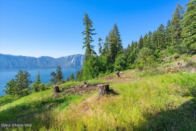 One of the last BIG WATERFRONT parcels in Bayview on Lake Pend - photo 5