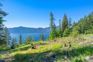 One of the last BIG WATERFRONT parcels in Bayview on Lake Pend - photo 9