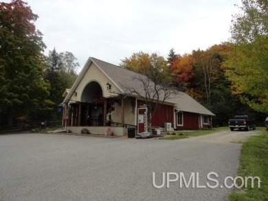 Lake Superior - Alger County Commercial For Sale in Munising Michigan