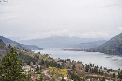 Perched above the Columbia River, this extraordinary Mosier - photo 48