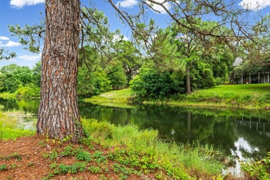 Under Contract with Kick OUT clause - showings still available! - photo 49