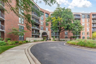 Lake Home For Sale in Naperville, Illinois