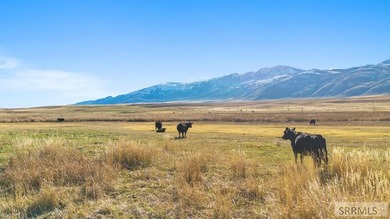 The Arrow S Ranch is a diverse and immense farm & ranch property - photo 11