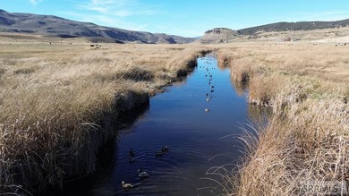 The Arrow S Ranch is a diverse and immense farm & ranch property - photo 13