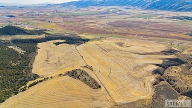 The Arrow S Ranch is a diverse and immense farm & ranch property - photo 15