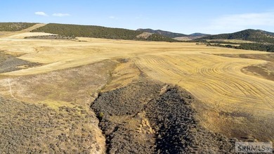 The Arrow S Ranch is a diverse and immense farm & ranch property - photo 17