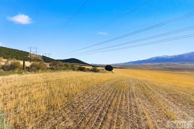 The Arrow S Ranch is a diverse and immense farm & ranch property - photo 19