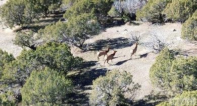 The Arrow S Ranch is a diverse and immense farm & ranch property - photo 20