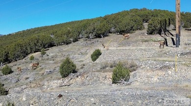 The Arrow S Ranch is a diverse and immense farm & ranch property - photo 21
