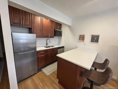 This fully renovated, furnished large studio at 131-11 Kew