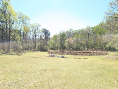 Opportunity with acreage, multiple structures, and income - photo 6