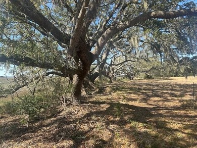 2 Waterfront lots combined or sold separately for $1,975,000! - photo 19