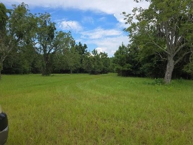 2 Waterfront lots combined or sold separately for $1,975,000! - photo 21