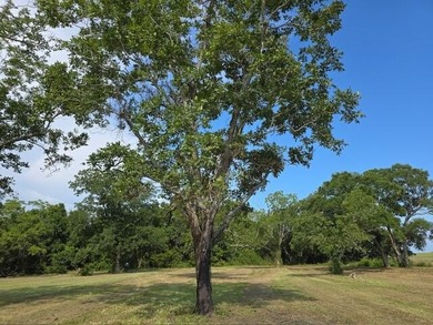 2 Waterfront lots combined or sold separately for $1,975,000! - photo 23