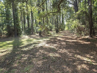 2 Waterfront lots combined or sold separately for $1,975,000! - photo 29
