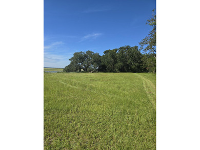 2 Waterfront lots combined or sold separately for $1,975,000! - photo 30