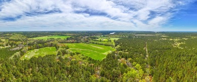 106-acre estate that perfectly blends rural tranquility with - photo 4
