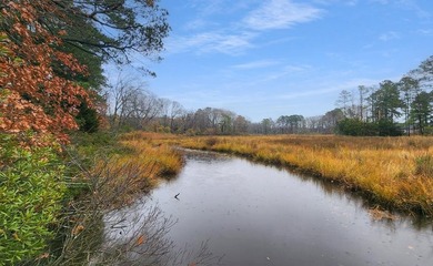 106-acre estate that perfectly blends rural tranquility with - photo 10