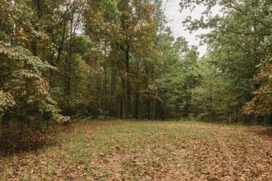 Clearwater Lake -Reynolds County Acreage For Sale in Ellington Missouri