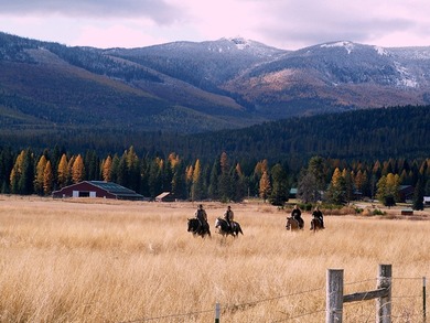 Rare opportunity to acquire a 386 acres, fully developed school - photo 4