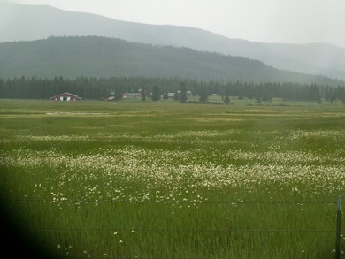 Rare opportunity to acquire a 386 acres, fully developed school - photo 10