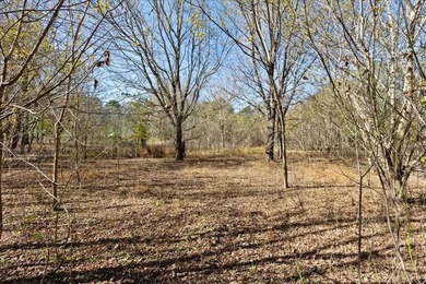 13 Acres, Development Opportunity on Heardsville Rd, Cumming, GA - photo 11