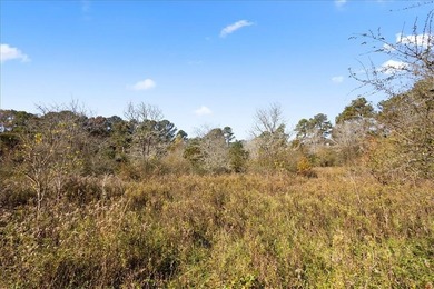 13 Acres, Development Opportunity on Heardsville Rd, Cumming, GA - photo 13
