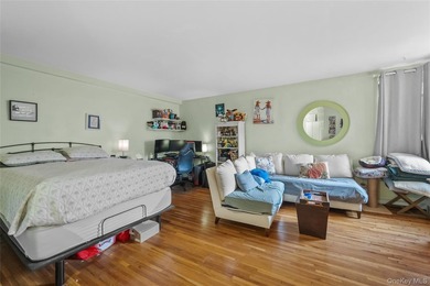 Welcome to *The Kenilworth*! 500 square feet in a pre-war