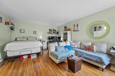 Welcome to *The Kenilworth*! 500 square feet in a pre-war