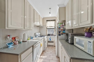 Welcome to *The Kenilworth*! 500 square feet in a pre-war