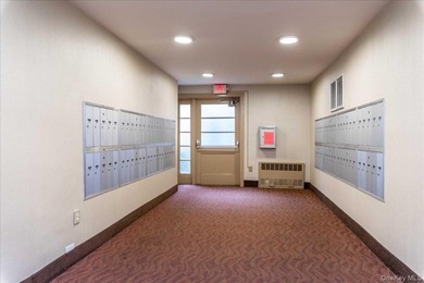 Subject to terms and conditions of an offering plan. Spacious - photo 6