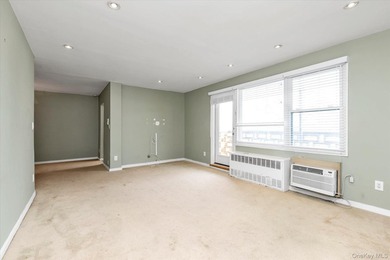 Subject to terms and conditions of an offering plan. Spacious - photo 9