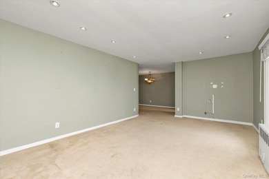 Subject to terms and conditions of an offering plan. Spacious - photo 10