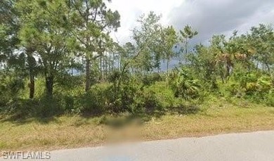 Port Charlotte Waterway Area Lot For Sale in Port Charlotte Florida