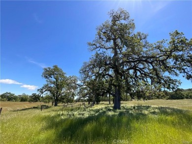 Lake Acreage For Sale in Bradley, California