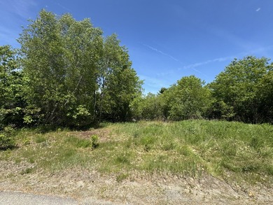 Bring your vision to life on this versatile in town lot with - photo 1