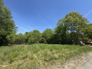 Bring your vision to life on this versatile in town lot with - photo 2