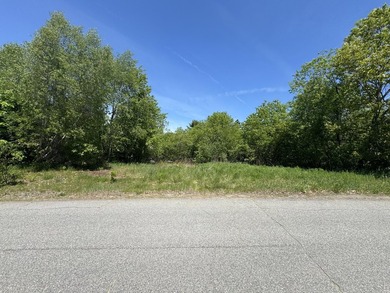 Bring your vision to life on this versatile in town lot with - photo 3