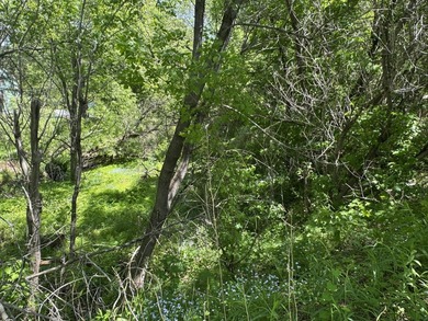 Bring your vision to life on this versatile in town lot with - photo 4