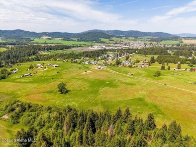 Set just outside of Plummer, this scenic 5-acre parcel offers a - photo 3