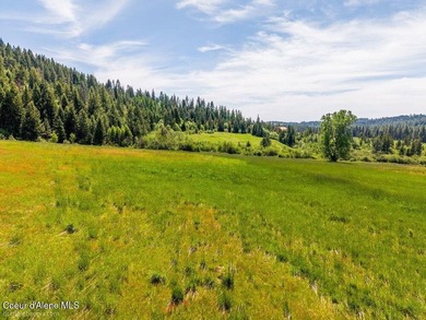 Set just outside of Plummer, this scenic 5-acre parcel offers a - photo 5