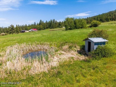 Set just outside of Plummer, this scenic 5-acre parcel offers a - photo 8