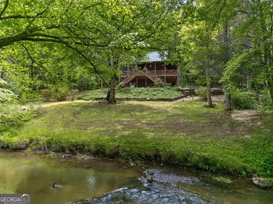 (private lake, pond, coastal) Home For Sale in Blue Ridge Georgia