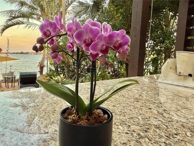 (private lake, pond, coastal) Home For Sale in Miramar Florida