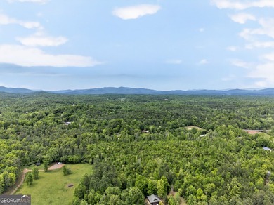 $50,000 price reduction! This cabin is priced below the - photo 6