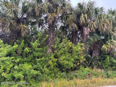 Investors looking for land in Palm bay!! Investment only. Up and - photo 1