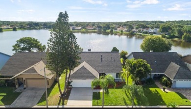 (private lake, pond, creek) Home For Sale in Tampa Florida