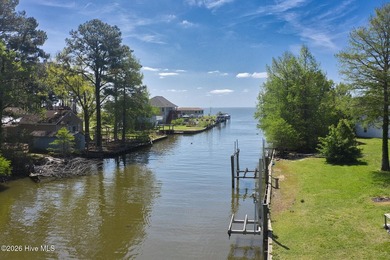 Waterfront-Deep Water Canal-seconds to the Albemarle - photo 4