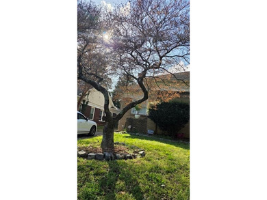 PROFESSIONAL PICTURES FORTHCOMING!!!!!!!!!! Catch this jewel